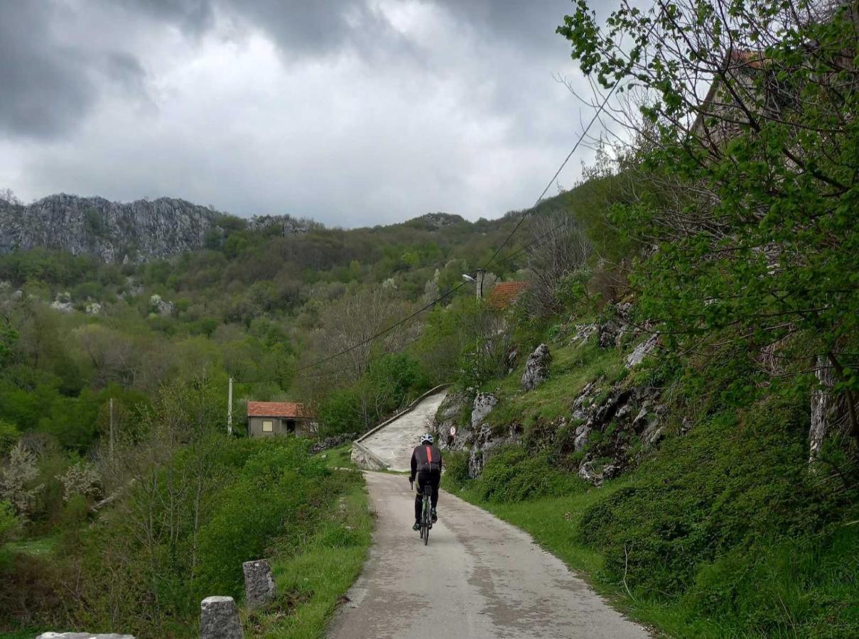 Konak Ugnji-Village Cetinje Eksteriør bilde