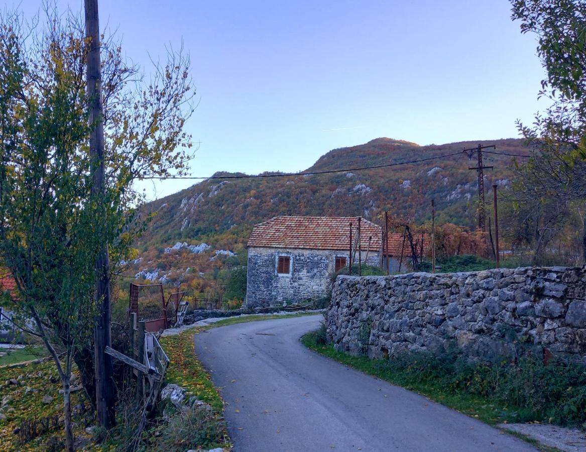 Konak Ugnji-Village Cetinje Eksteriør bilde