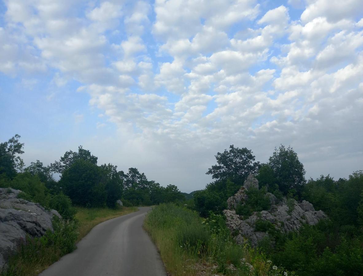 Konak Ugnji-Village Cetinje Eksteriør bilde