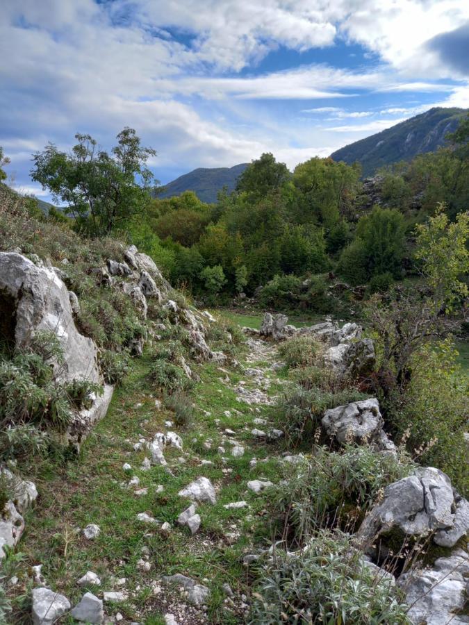 Konak Ugnji-Village Cetinje Eksteriør bilde