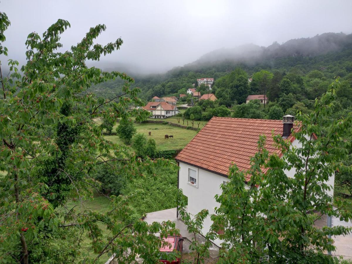 Konak Ugnji-Village Cetinje Eksteriør bilde