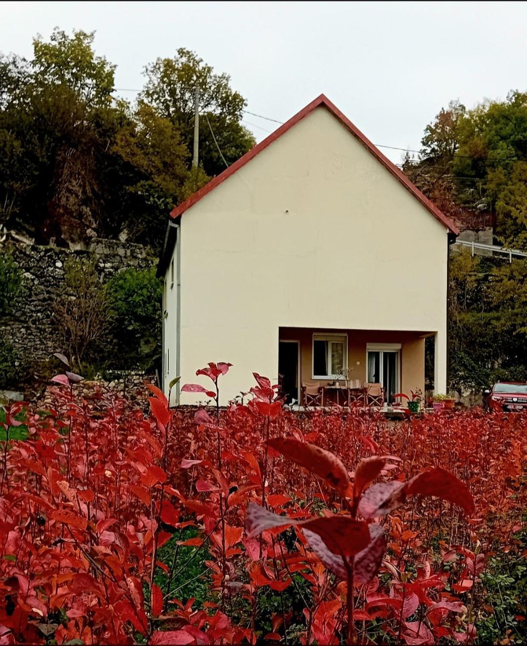 Konak Ugnji-Village Cetinje Eksteriør bilde